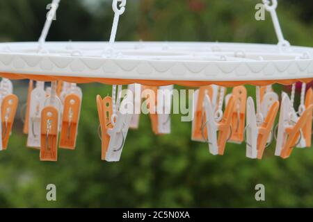 Group of colorful cloth clips used for hanging cloths by it, display with selective focus on daylight. Stock Photo