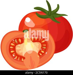 Tomato fresh vegetable vector concept. Single and half. Healthy diet flat style illustration. Stock Vector