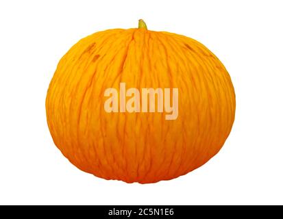 Ripe yellow casaba melon isolated on white background. Clipping path included. Stock Photo