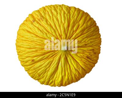 Ripe yellow casaba melon isolated on white background. Clipping path included. Stock Photo