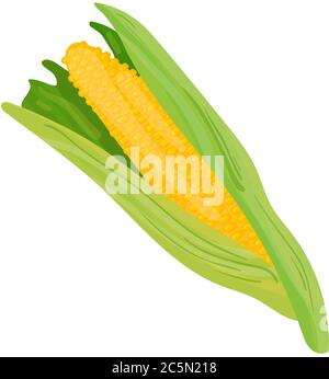 Corn vector design illustration isolated on white background. Stock Vector