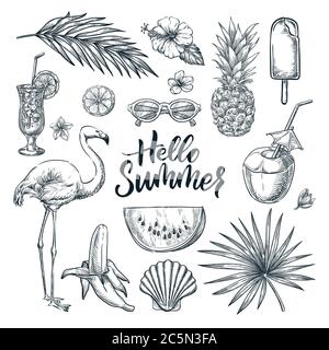 Hello summer hand drawn calligraphy lettering and tropical design elements set. Vector sketch illustration. Vacation, sea beach holiday design element Stock Vector