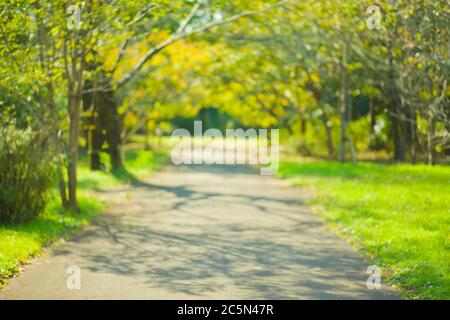 green park blur bokeh background Stock Photo - Alamy