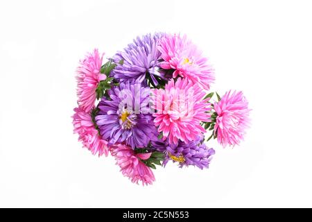 Callistephus chinensis. Pink and purple aster flowers bouquet isolated on white background. Top view Stock Photo