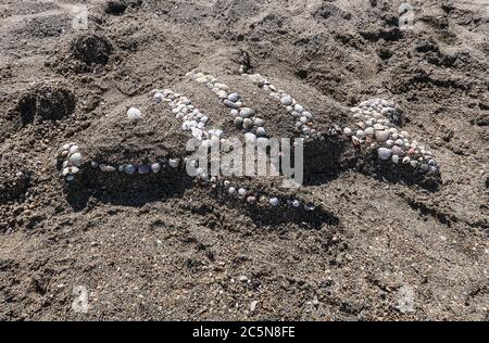 Fish sand sculpture decorated with small sea shells on a sandy Croatian beach.  Nin, Zadar County, Croatia Stock Photo