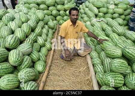 Happy farmer for her cultivated fruits when he collect from field. Stock Photo