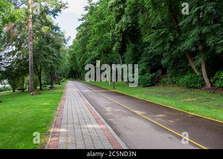 a park with a pedestrian walkway and an asphalt road with a yellow lane for bicycles surrounded by green grass and tall trees. Stock Photo