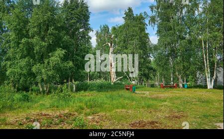 Lonnrot Pine Tree, Kalevala,  administrative center of Kalevalsky District in the Republic of Karelia, Russia. Stock Photo