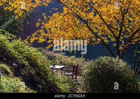 Quiet place to linger under autumn colored foliage in Wernberg-Köblitz, Germany Stock Photo