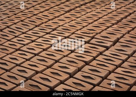 Raw brick laid out in stacks for drying. Bricks in a brick factory. Traditional production of clay bricks in India. Stock Photo
