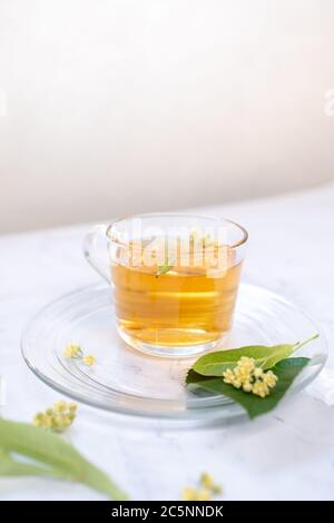 Transparent tea cup with linden tea and linden flowers on a white marble table as background Stock Photo