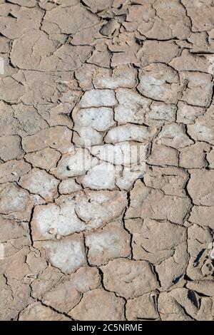 Dry, cracked earth in an arid area of California Stock Photo
