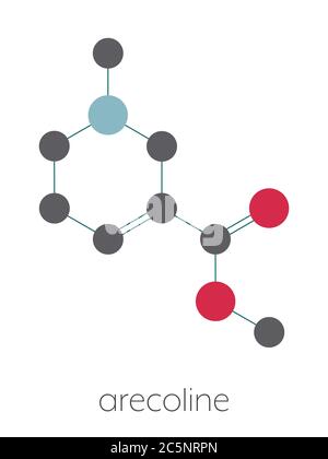 Arecoline areca nut stimulant compound, chemical structure. Stock Photo