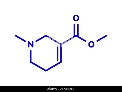 Arecoline areca nut stimulant compound, chemical structure. Skeletal formula. Stock Photo