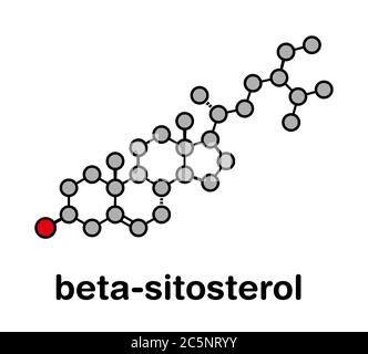 Beta-sitosterol phytosterol molecule. Investigated in treatment of benign prostate hyperplasia (BPH) and high cholesterol levels. Stylized skeletal formula (chemical structure): Atoms are shown as color-coded circles: hydrogen (hidden), carbon (grey), oxygen (red). Stock Photo