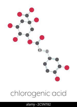 Chlorogenic acid herbal molecule. Stylized skeletal formula (chemical structure): Atoms are shown as color-coded circles: hydrogen (hidden), carbon (grey), oxygen (red). Stock Photo