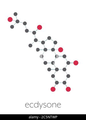 Ecdysone insect moulting prohormone. Stylized skeletal formula (chemical structure): Atoms are shown as color-coded circles: hydrogen (hidden), carbon (grey), oxygen (red). Stock Photo