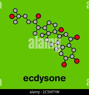 Ecdysone insect moulting prohormone. Stylized skeletal formula (chemical structure): Atoms are shown as color-coded circles: hydrogen (hidden), carbon (grey), oxygen (red). Stock Photo