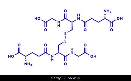 Glutathione (oxidized glutathione, GSSG) molecule. Skeletal formula. Stock Photo