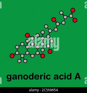 Ganoderic Acid R Ganoderic acid A molecule. Present in Ganoderma mushrooms. Stylized ...