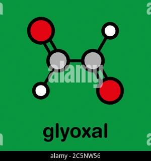 Glyoxal dialdehyde molecule. Present in fermented food and beverages. Many applications in chemical industry. Stylized skeletal formula (chemical structure): Atoms are shown as color-coded circles: hydrogen (white), carbon (grey), oxygen (red). Stock Photo