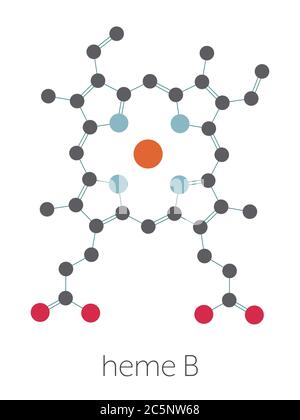 Heme B (haem B) molecule. Heme is an essential component of hemoglobin, myoglobin, cytochrome, catalase and other metalloproteins. Stylized skeletal formula (chemical structure): Atoms are shown as color-coded circles: hydrogen (hidden), carbon (grey), oxygen (red), nitrogen (blue), iron (orange-brown). Stock Photo