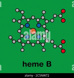 Heme B (haem B) molecule. Heme is an essential component of hemoglobin, myoglobin, cytochrome, catalase and other metalloproteins. Stylized skeletal formula (chemical structure): Atoms are shown as color-coded circles: hydrogen (hidden), carbon (grey), oxygen (red), nitrogen (blue), iron (orange-brown). Stock Photo