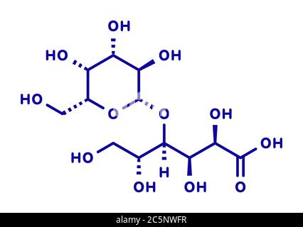 Lactobionic acid (lactobionate) molecule. Commonly used additive in food products, medicinal products and cosmetics. Skeletal formula. Stock Photo