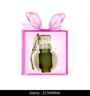 Gift wrapped present containing grenade, coloured X-ray. Stock Photo