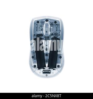 Computer mouse, coloured X-ray. Stock Photo