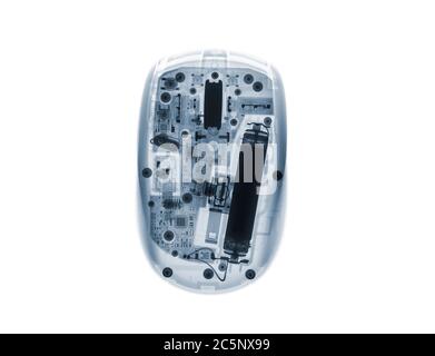 Computer mouse, coloured X-ray. Stock Photo