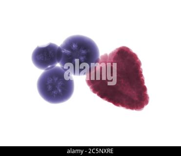 Raspberry and blueberries, coloured X-ray. Stock Photo