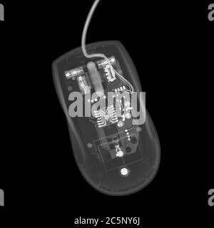 Computer mouse, X-ray. Stock Photo