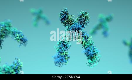 Chromosomes, illustration. Chromosomes are composed of deoxyribonucleic acid (DNA) and contain sections, called genes, which encode the body's genetic information. Each chromosome consists of two chromatids joined at their centres by the centromere, which is involved in cell division. At the tip of each chromatid are the telomeres, whose function is to protect the ends of the chromosome from degrading. Stock Photo