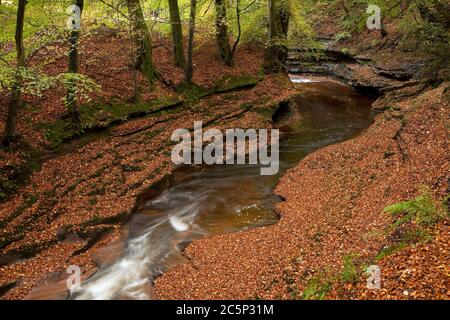 River Gelt in Gelt Woods, Cumbria, UK Stock Photo
