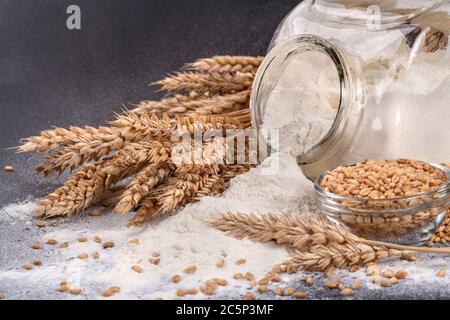 Flour and grain sprinkled on a black background along with a glass jar Stock Photo