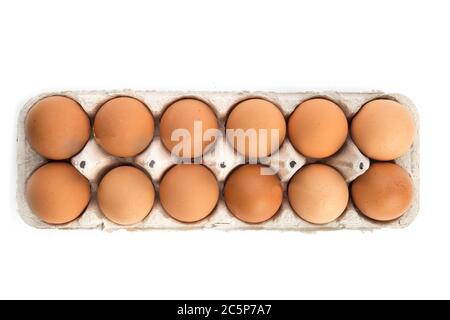 one dozen brown eggs in a cardboard egg carton isolated on white Stock Photo