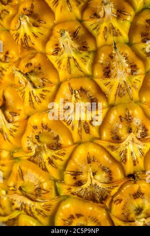 Closeup of a ripe pineapple bark background Stock Photo