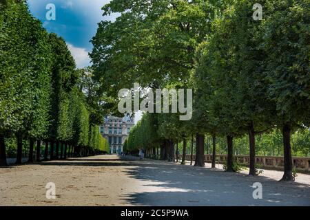 Tree-lined boulevard in jardin de tuileries in Paris, France Stock Photo