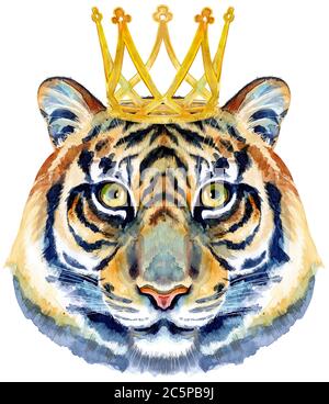 Tiger head with golden crown isolated on white background. Stock Photo