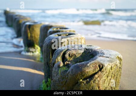 Breakwater on the beach of the Baltic Sea near Rewal in Poland
