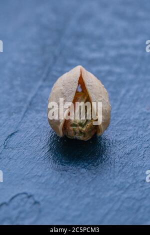 Single Roasted And Salted Pistachio On Dark Background Stock Photo