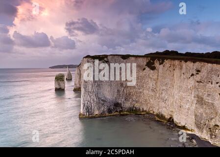 View from The Foreland (Handfast Point) near Studland on the Dorset coast looking along the chalk cliffs of Old Nicks Ground toward the Pinnacles. Stock Photo