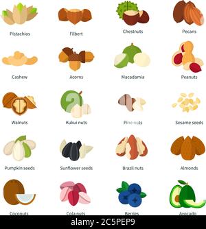 Set of Nuts icons flat vector illustration Stock Vector