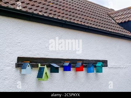 Colourful row of handmade bird boxes on house wall, Burnmouth, Berwickshire, Scotland, UK Stock Photo