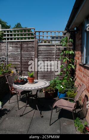 Runner beans, courgette or zucchini and celery growing on garden pation in containers by table and chairs. Stock Photo