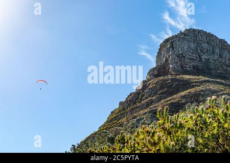 Looking up at the peak of Lion's Head Mountain in Cape Town, with a paraglider against the blue sky Stock Photo