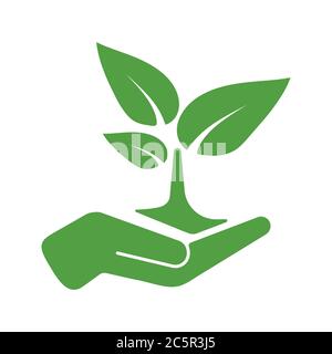 Green tree growing in hand vector illustration. Stock Vector