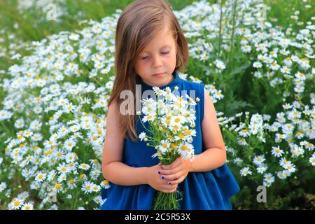 Beautiful girl stands in the field with daisies in summer Stock Photo