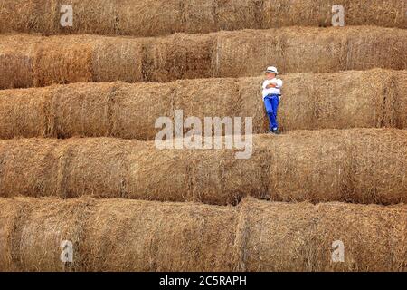 A cute boy is high under the sky on a haystack in the hay season. Stock Photo